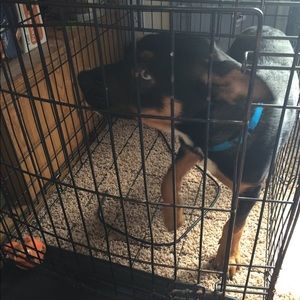 Meet your Posher, Daniel